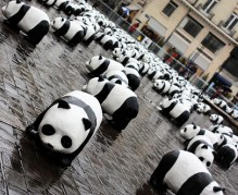 Easy ways to Panda-proof your content